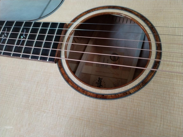 Taylor GA Custom Shop